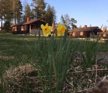 Siljansnas Other | Unwind at Siljansnäs Stugby & Resort: 9/10 Guest Rated Escape