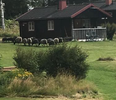 Siljansnas Other | Unwind at Siljansnäs Stugby & Resort: 9/10 Guest Rated Escape