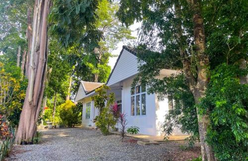 Tha Kham House | Discover Silpasom ARTstay: Child-Friendly Escape