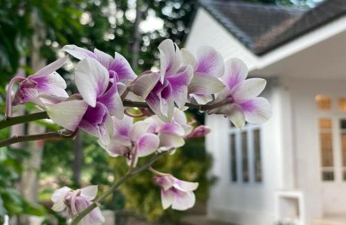 Tha Kham House | Discover Silpasom ARTstay: Child-Friendly Escape