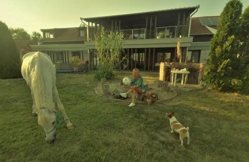Bekes Bed & Breakfast | Discover Silver Horse Ranch: Pet-Friendly Retreat with Pool