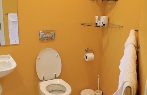 Kaiapoi Other | Experience Silverstream Alpaca Farmstay with Spa & Tours