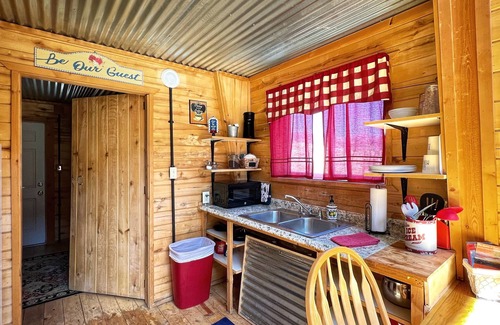 Creede Cabin | Inviting Silvery Lupine Cabin 5 with Spa & Pet-Friendly Perks