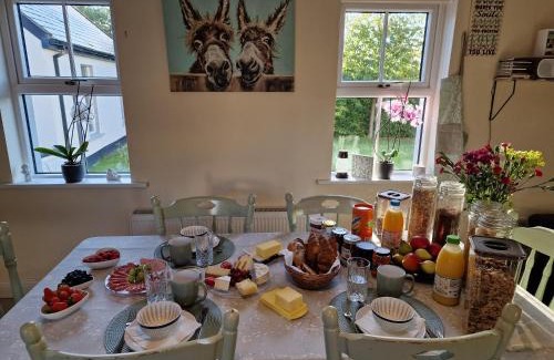 Kilgreaney Bed & Breakfast | Silvi's Guest House Borris Carlow