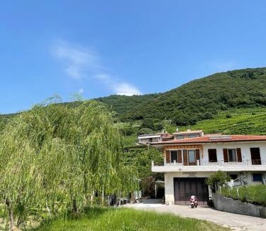 Valdobbiadene House | Pet-Friendly Retreat at Silvia Miotto's Guesthouse
