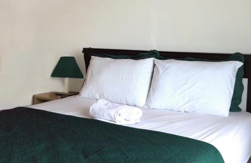 Alto Feliz Hotel | Pet-Friendly Getaway at Simar Hotel with Family Amenities