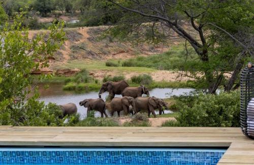 Thorny Bush Game Reserve Apartment | Relaxing Simbavati Mvubu Cottage with Oceanfront Views