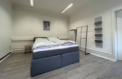 Karlsruhe City Centre Apartment | Comfortable Simplex Apartments near Ettlinger Tor with Kitchen