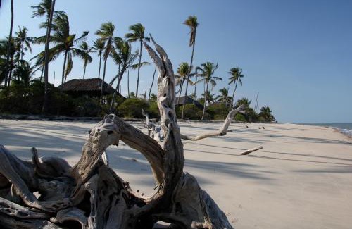 Tanga Other | Experience Simply Saadani Camp: Tent with Ocean Views