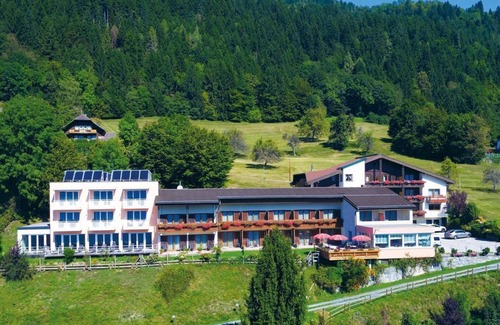 Steindorf am Ossiacher See House | Single room - Hotel Ossiacher See*