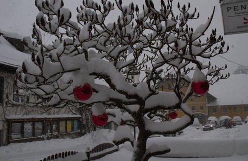 Faistenau Cottage | Pet-Friendly Single Room at Pension Schierl with Breakfast