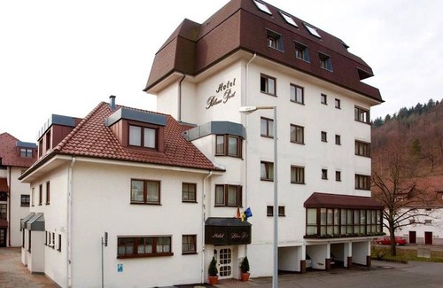 Gemarkung Tailfingen Apartment | Cozy Single Room with Shower & Pet-Friendly Amenities