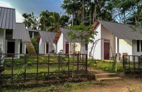 Kotapola Cabin | Sinharaja Forest Sanctuary