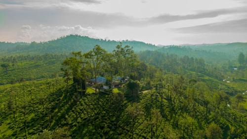 Valparai House | Sinna Dorai's Rotti Kadai Bungalow