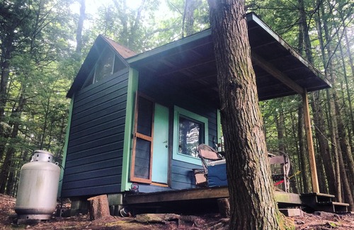 Saugerties House | Discover Sioux Tipi on Chloe's Lake: Pet-Friendly Escape