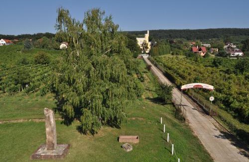 Balatonszepezd Ski Chalet | Enchanting Sir David Balaton Castle B&B with Ocean Views