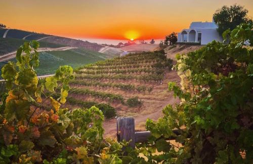 Paso Robles Bed & Breakfast | Discover Sirena Vineyard Resort: Top-Rated Stay with Breakfast