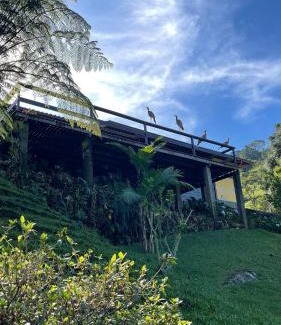 Sao Pedro da Serra House | Serene Retreat with Natural Pool and Waterfall in Lumiar