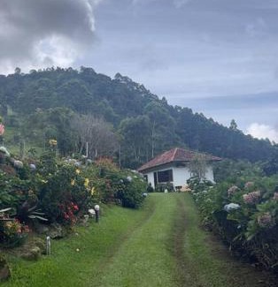 Sao Pedro da Serra House | Serene Retreat with Natural Pool and Waterfall in Lumiar