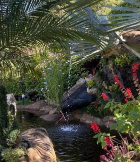 Sao Pedro da Serra House | Serene Retreat with Natural Pool and Waterfall in Lumiar