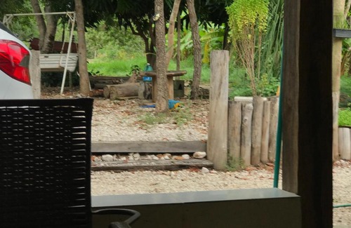 Teresina de Goias House | Discover Sitio Frutas do Cerrado: Pet-Friendly Retreat, Rated 9/10