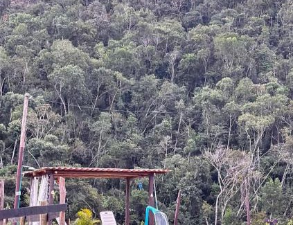 Ouro Preto House | Relax at Sitio Recanto Feliz: 4-Star Oceanfront Retreat