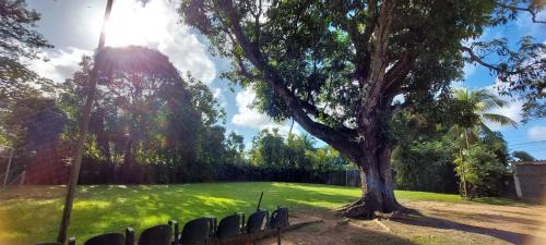 Parafuso Hotel | Pet-Friendly Retreat with Pool at Sitio Religare
