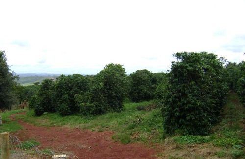 Serra da Canastra National Park House | Pet-Friendly Stay at Sitio Sao Benedito - Rated 9/10