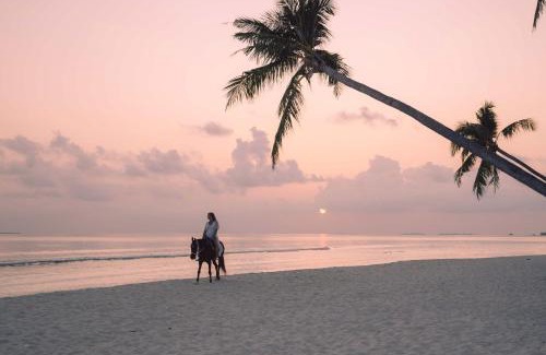 Dhigurah Resort | Indulgent Siyam World Maldives - All-Inclusive Paradise Awaits