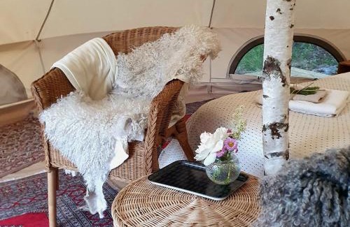 Jarvso Other | Discover Skålbo Gårdsglamping: Family & Pet Friendly Stay