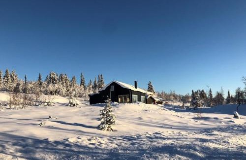 Al House | Guest Rated: Skarvebo Cabin with Breathtaking Views