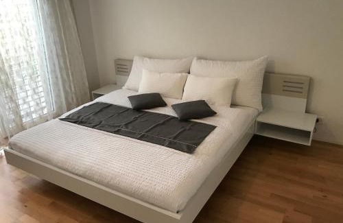 Central Interlaken Apartment | Pet-Friendly Skender's Apartment with High Ratings
