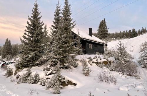 yer Ski Chalet | Convenient Ski and Bike-In/Out Hotel for Families
