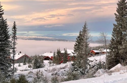 yer Ski Chalet | Convenient Ski and Bike-In/Out Hotel for Families