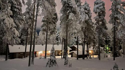 Pyhatunturi Ski Chalet | Unforgettable Ski-in-out Experience at FreeRider Hotel