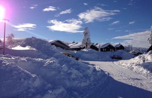 Transtrand House | Cozy Ski-in Ski-out Sälen Högfjället for Your Family Getaway