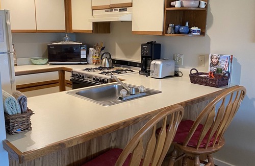 Ludlow Condo | Experience Ski-In, Ski-Out Access at A Quad Chairlift