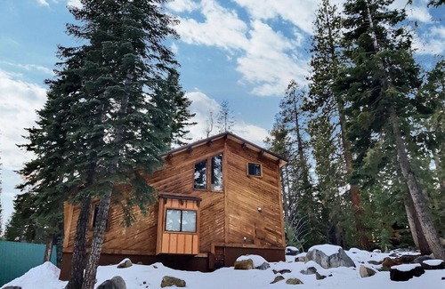 Bear Valley Cabin | Ski in/Ski out with Family Hospitality