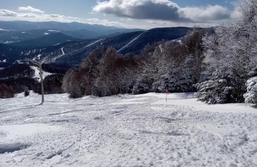Warren House | Convenient Ski-In Condo with Hot Tub and Cat Companion