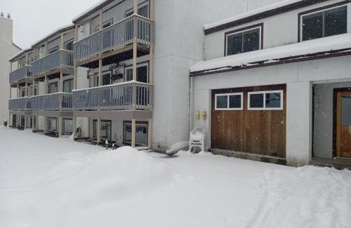 Warren House | Convenient Ski-In Condo with Hot Tub and Cat Companion