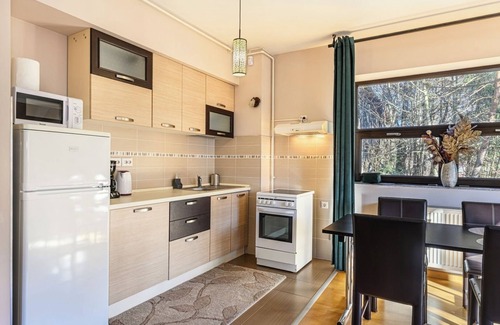 Predeal Apartment | Ski View Apartment Predeal