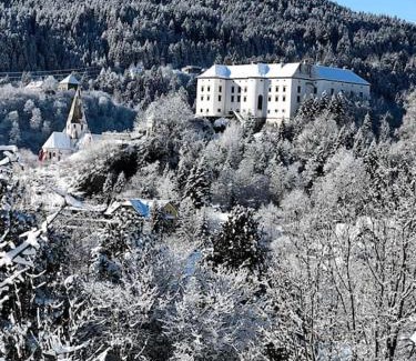 Murau Apartment | Scenic Skier's Lodge: Enjoy the Best View in Town!