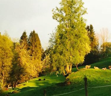Osteroy House | Family-Friendly Skjerping Gård with Kitchen & 10/10 Rating