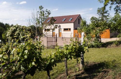 Brod nad Dyji Apartment | Delightful Getaway at Sklep na Správném místě - Spa & Retreat