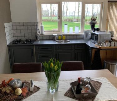 Steggerda Bed & Breakfast | Oceanfront Escape at Skoallehus vakantiewoning: 9.1/10 Rating