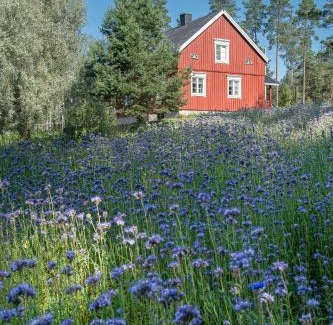 Raseborg Villa | Guest Rated: 9.8 at Countryside Villa Skogsbacka
