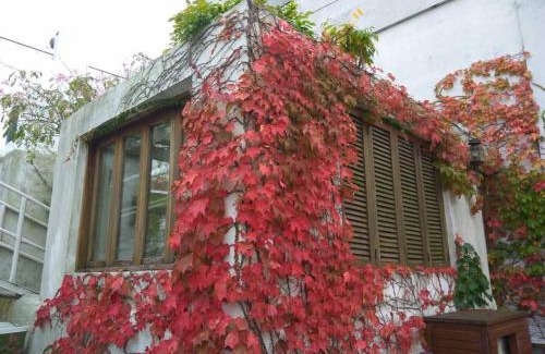 Ciudad Vieja Apartment | Pet-Friendly Retreat at Sky Garden Sarandi with Pool