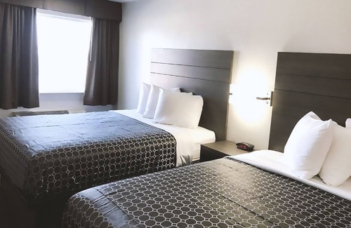 Arena District Hotel | Sky Palace Inn By Jasper Near AT & T Center - Standard 2 Queen Bed Non Smoking