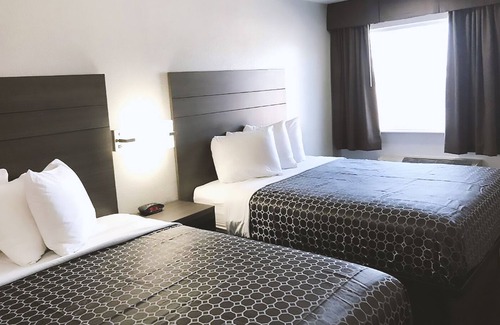 Arena District Hotel | Sky Palace Inn By Jasper Near AT & T Center - Standard 2 Queen Bed Non Smoking
