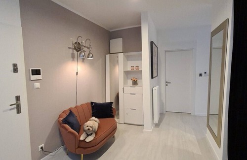Rogowo Apartment | Experience SKY & SEA Rogowo: Oceanfront Apartment with Jacuzzi